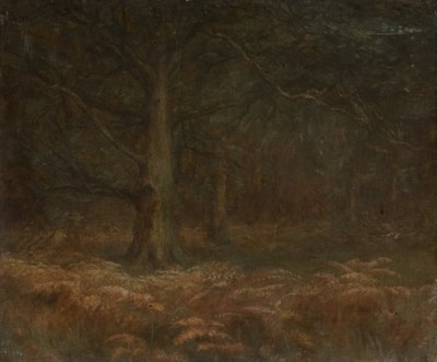 Study of Trees by Unbekannt Unbekannt